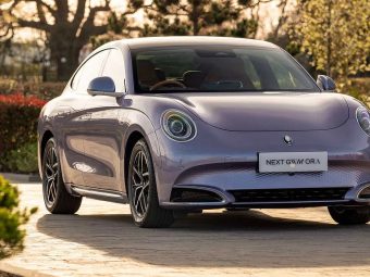 GWM Ora Something Cat -Heroic Stance